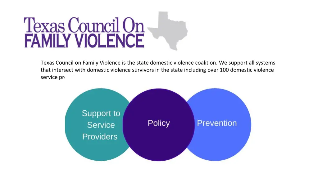 texas council on family violence is the state