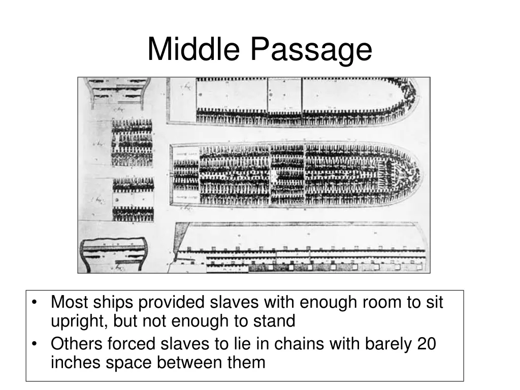 middle passage 1