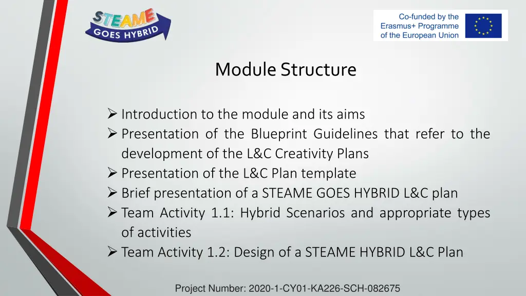 module structure