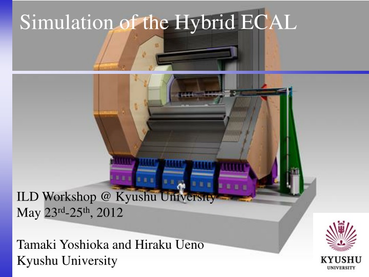 simulation of the hybrid ecal