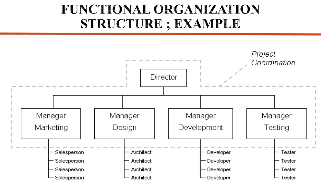 functional organization structure example