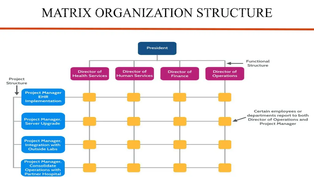 matrix organization structure