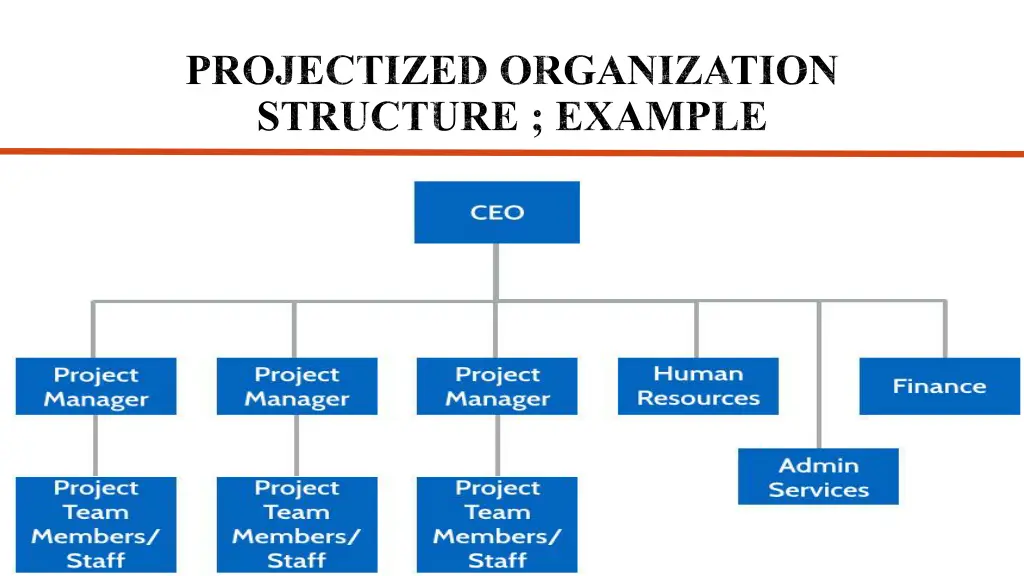 projectized organization structure example