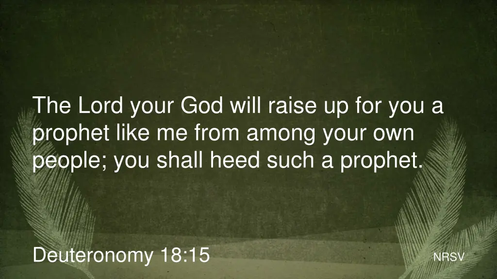 the lord your god will raise up for you a prophet