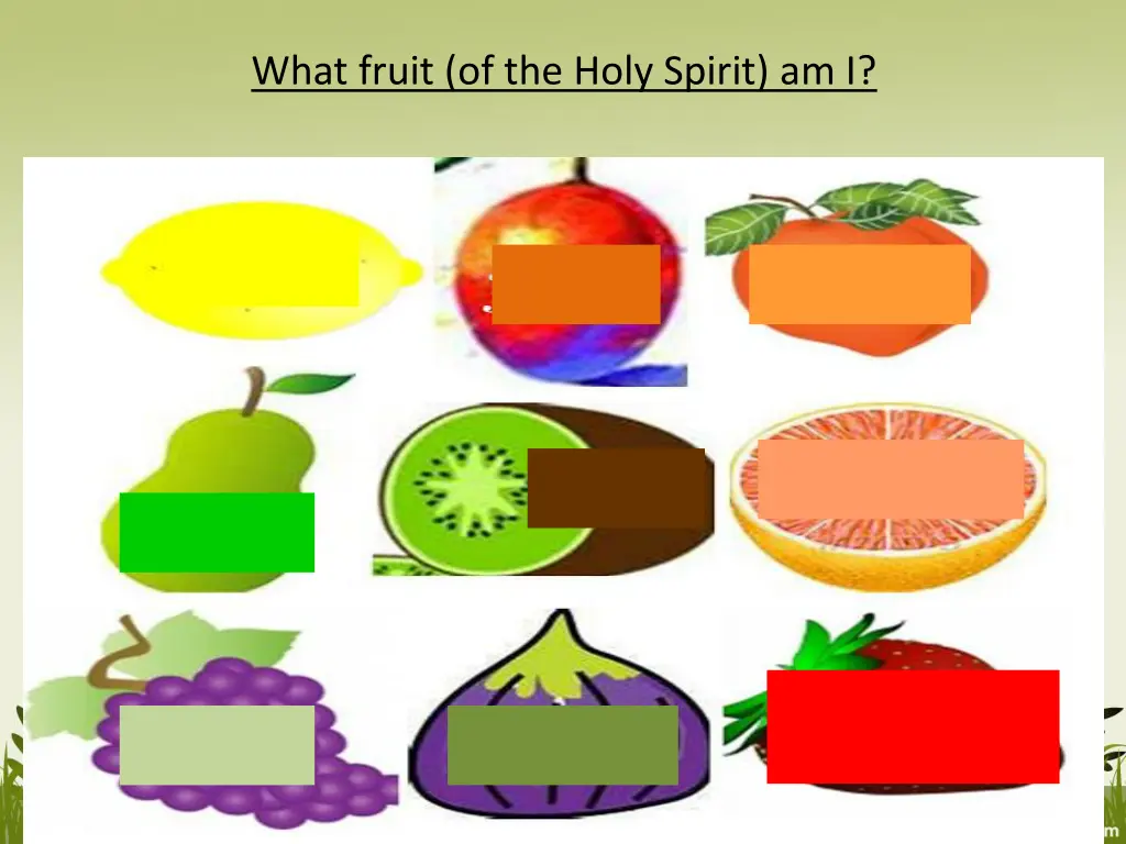 what fruit of the holy spirit am i