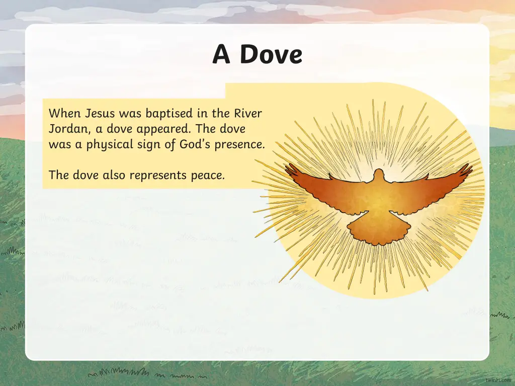 a dove