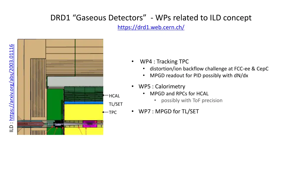 drd1 gaseous detectors wps related to ild concept