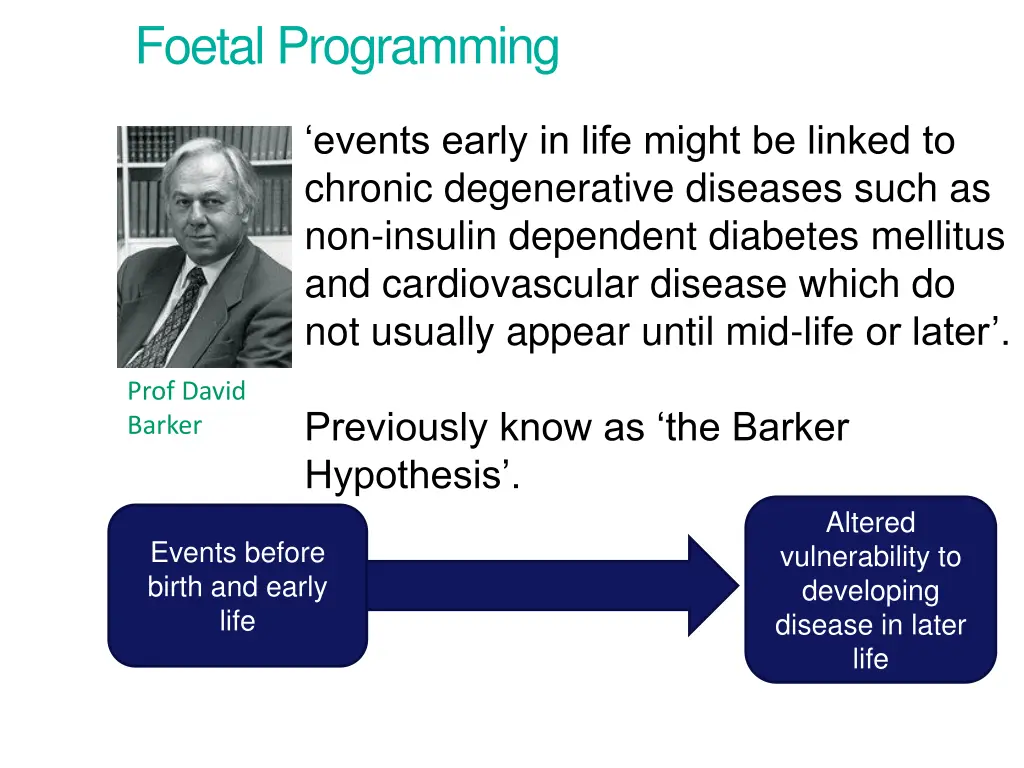 foetal programming