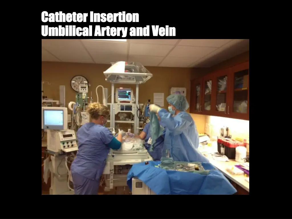 catheter insertion catheter insertion umbilical