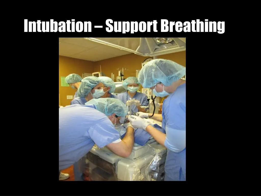 intubation support breathing