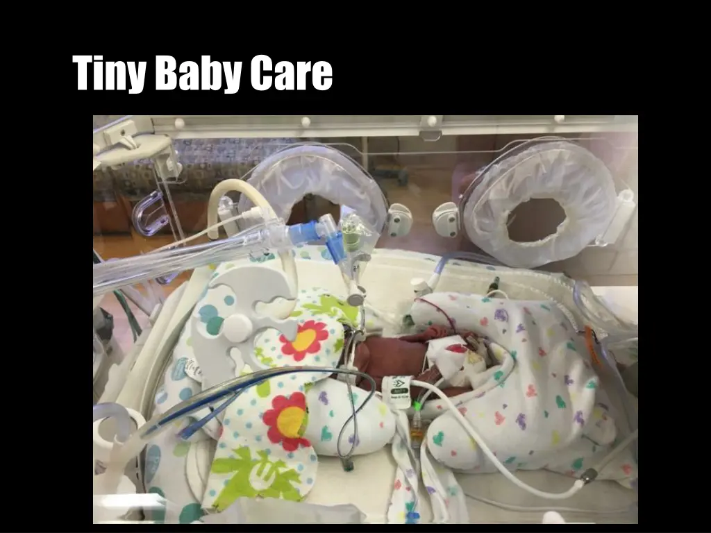 tiny baby care