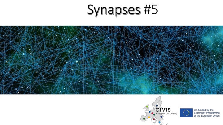 synapses synapses 5