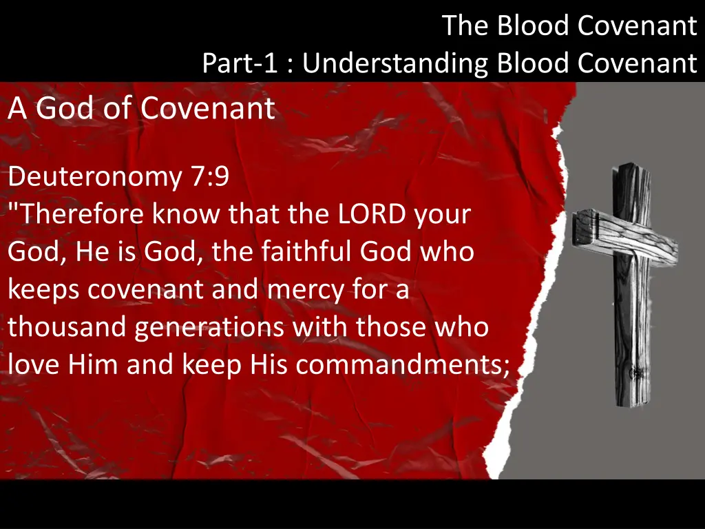 the blood covenant 1