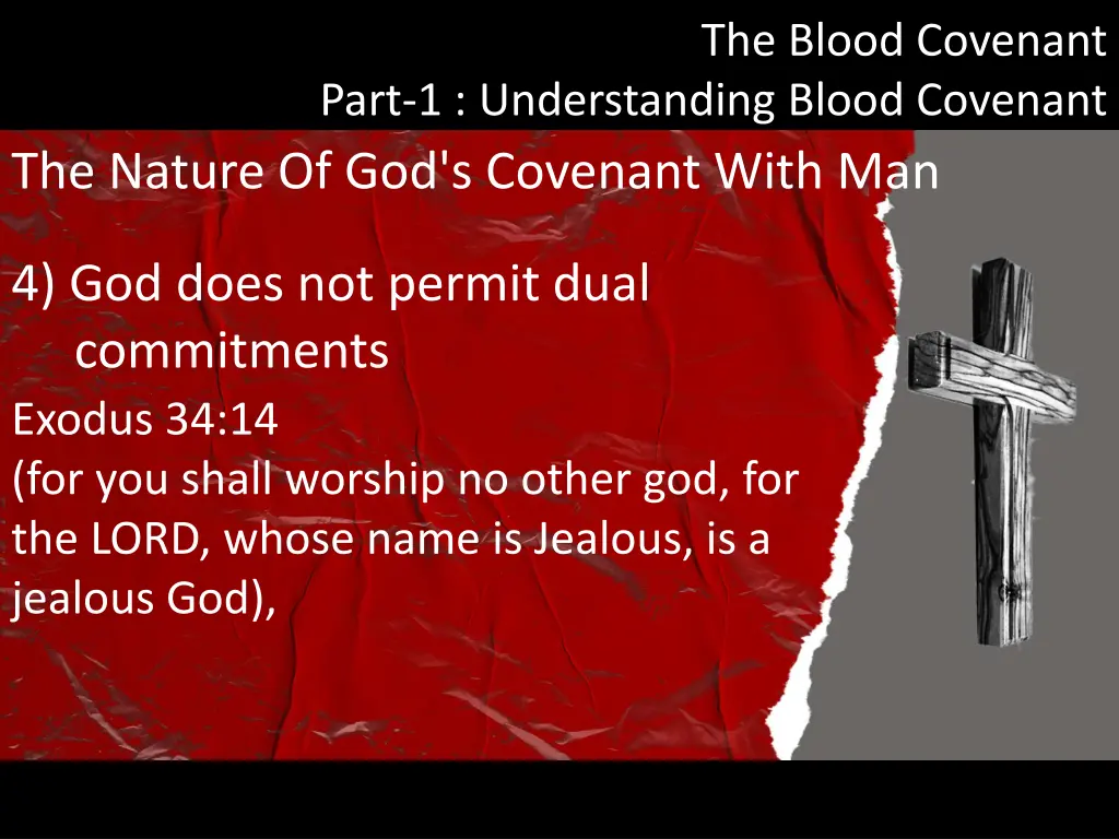 the blood covenant 12