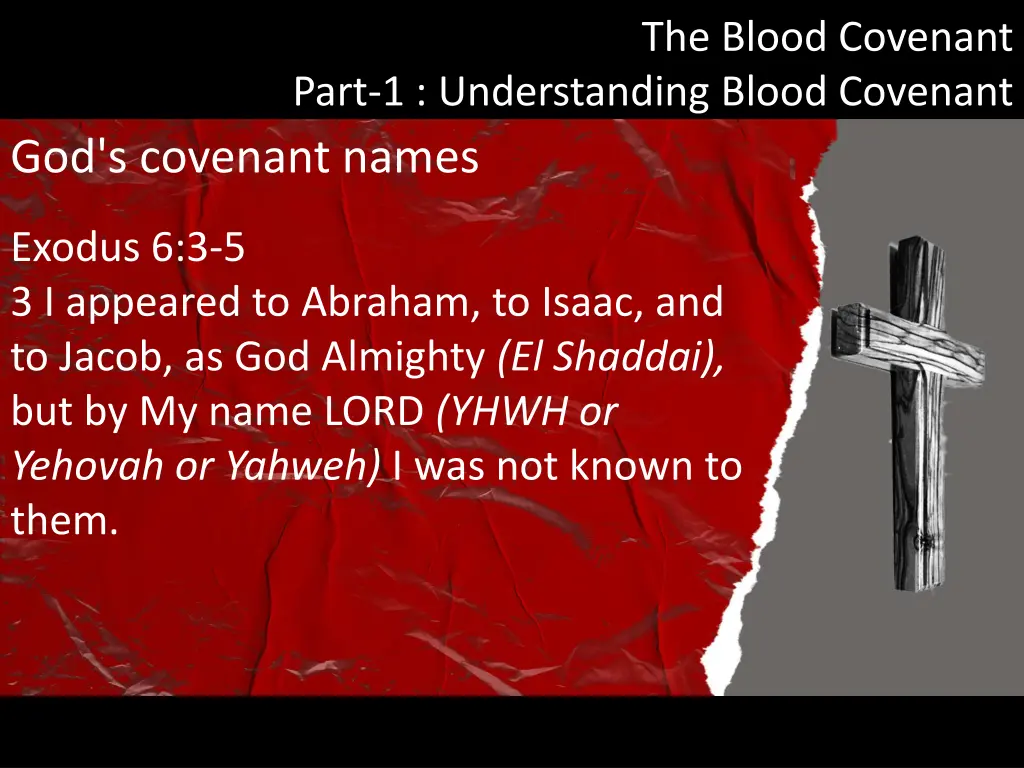 the blood covenant 13