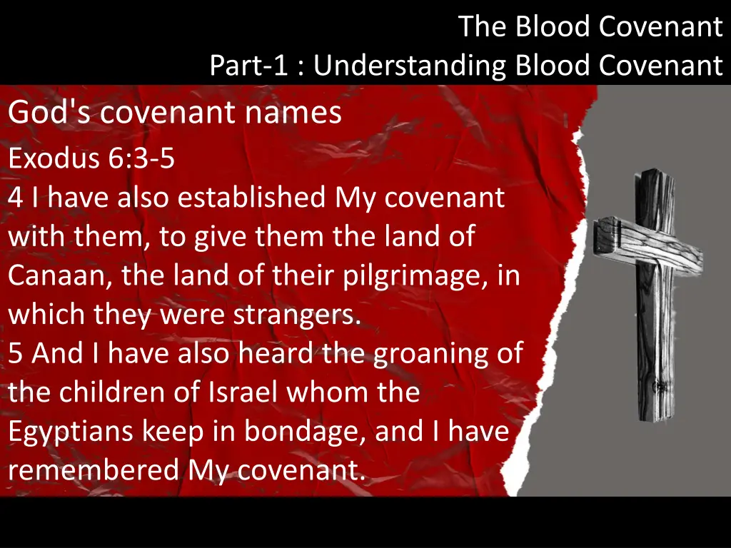 the blood covenant 14