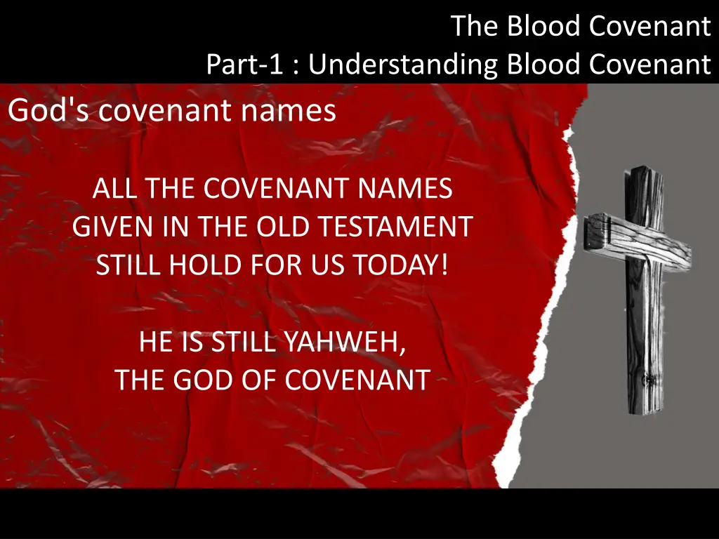 the blood covenant 17