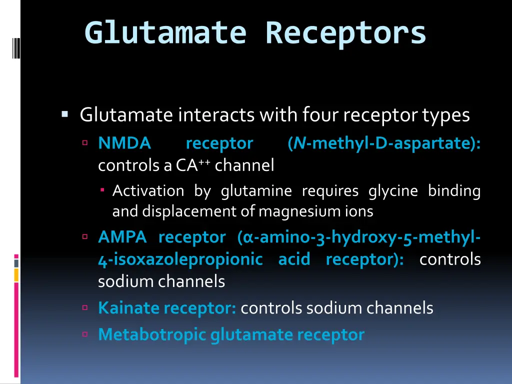 glutamate receptors