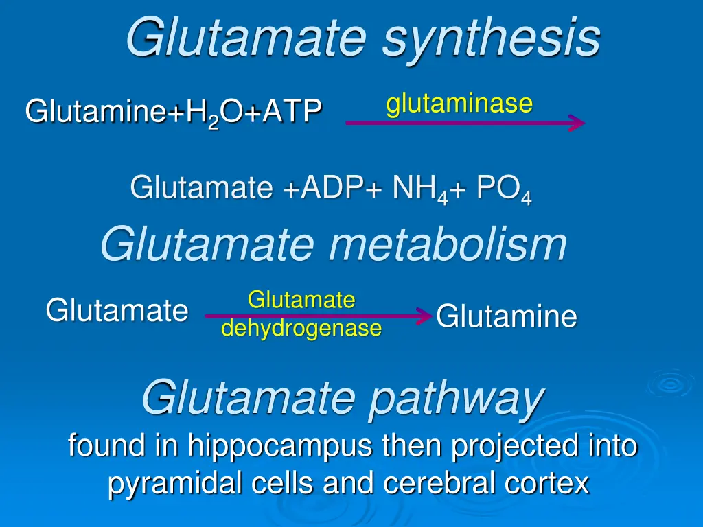 glutamate synthesis