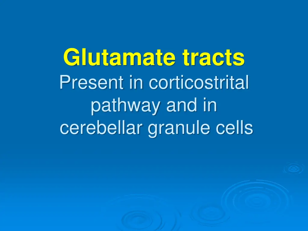 glutamate tracts present in corticostrital