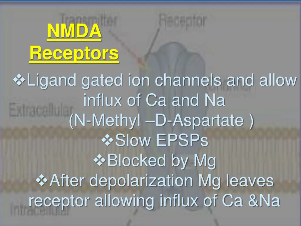 nmda receptors ligand gated ion channels