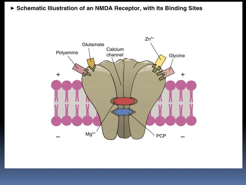 slide13