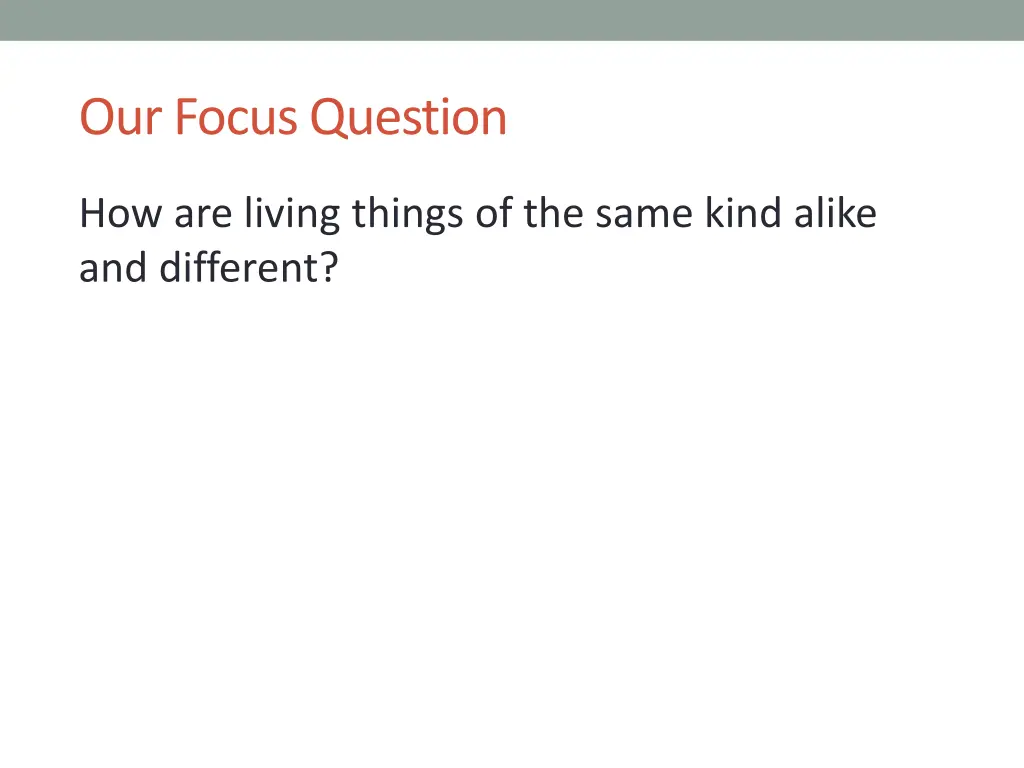 our focus question