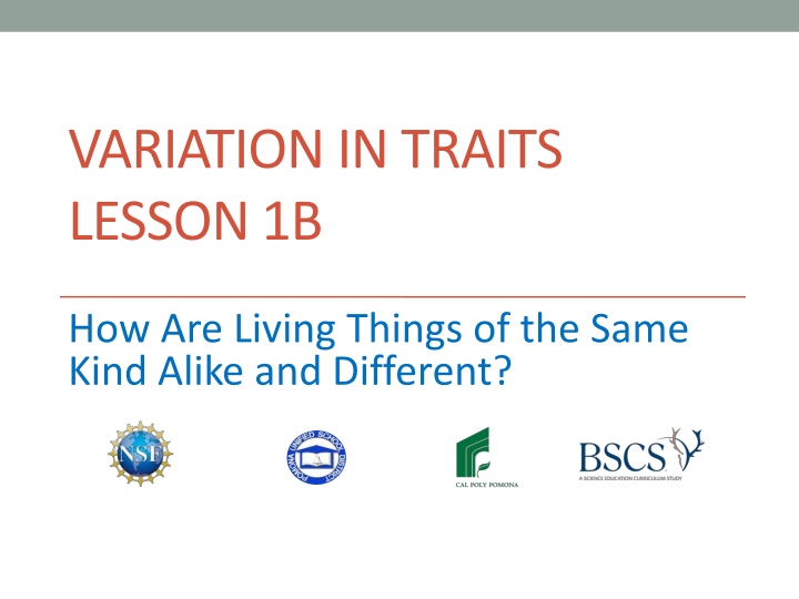 variation in traits lesson 1b