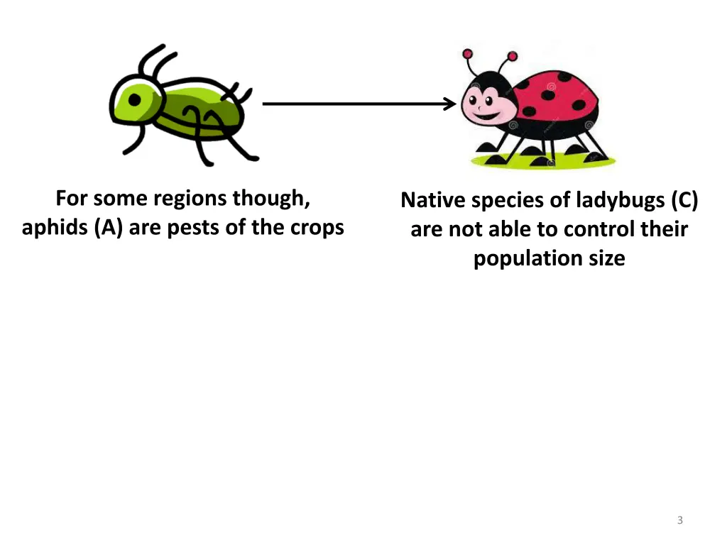 for some regions though aphids a are pests