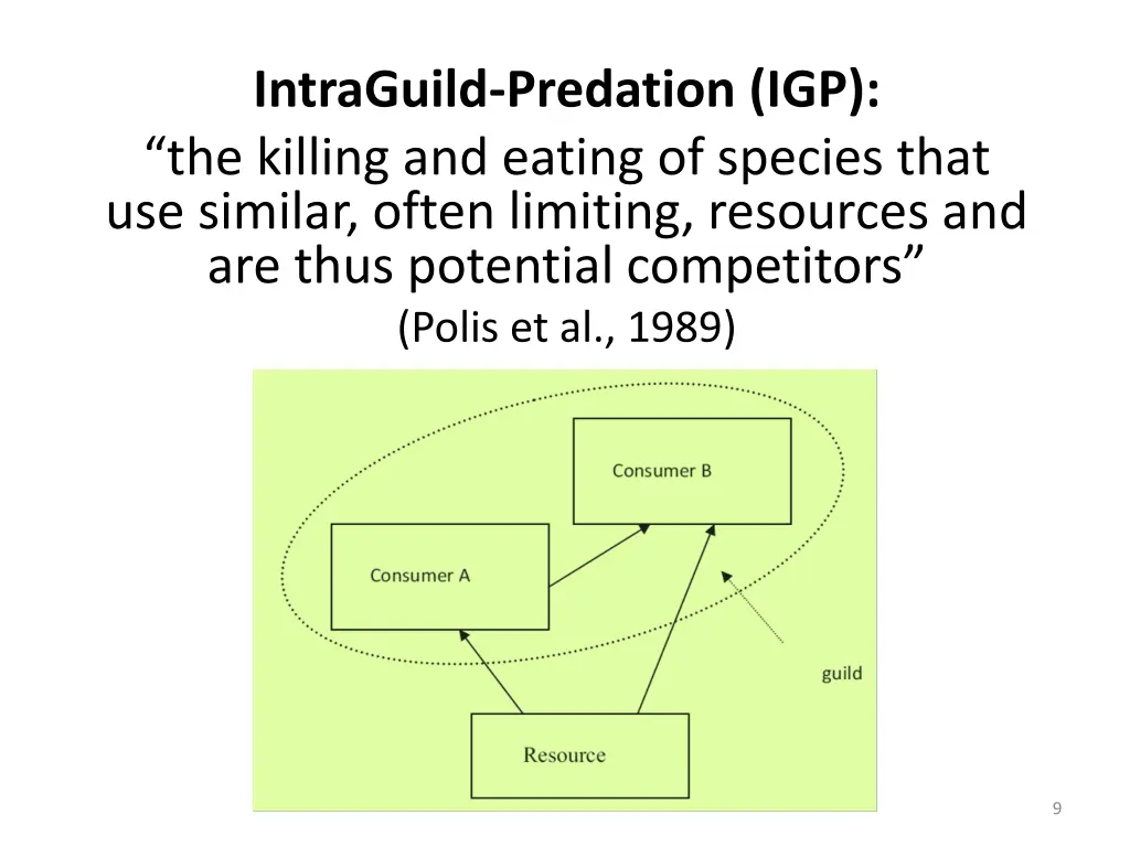 intraguild predation igp the killing and eating