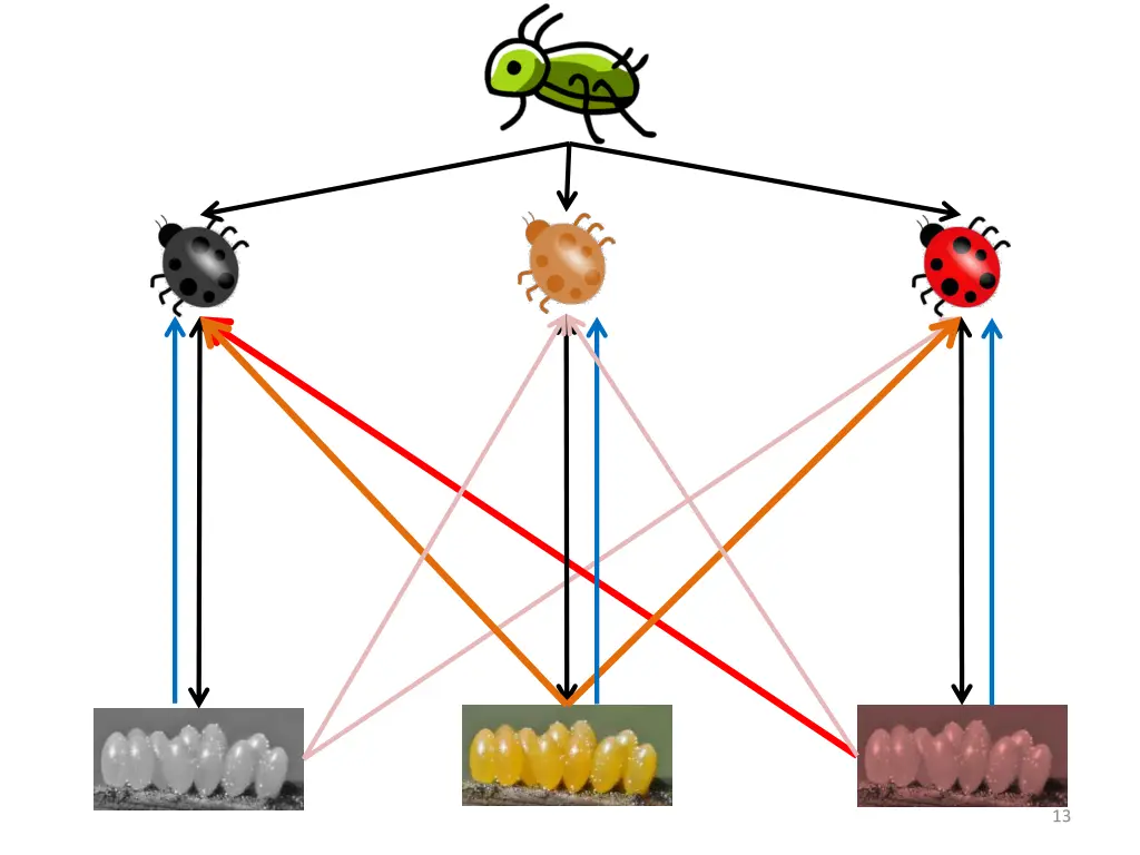 slide13