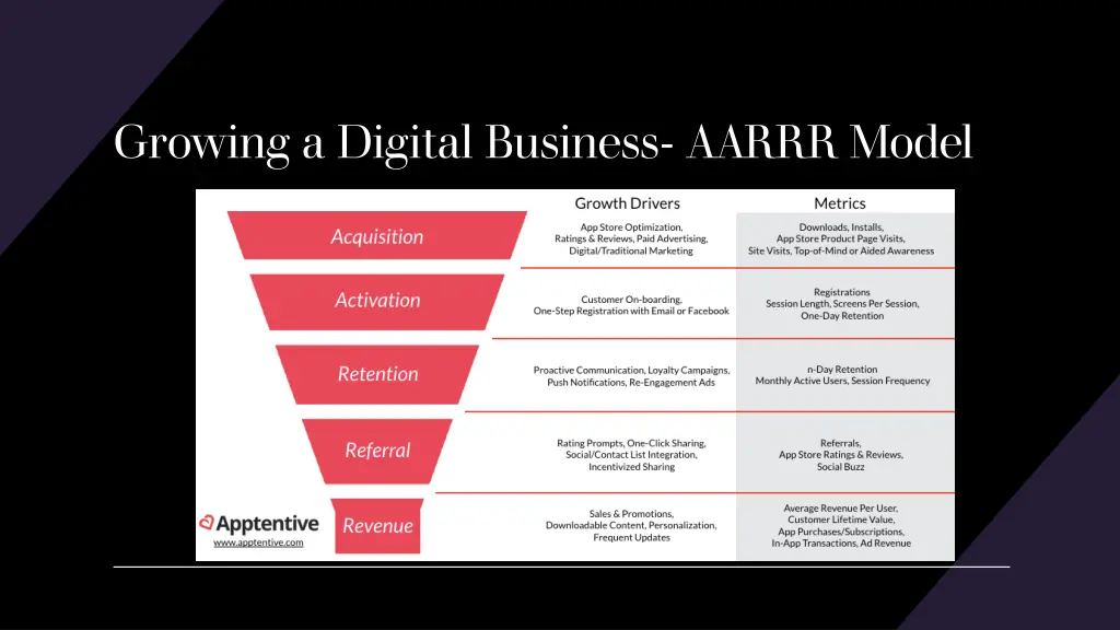 growing a digital business aarrr model