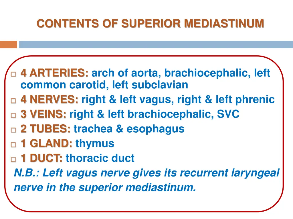 contents of superior mediastinum 2