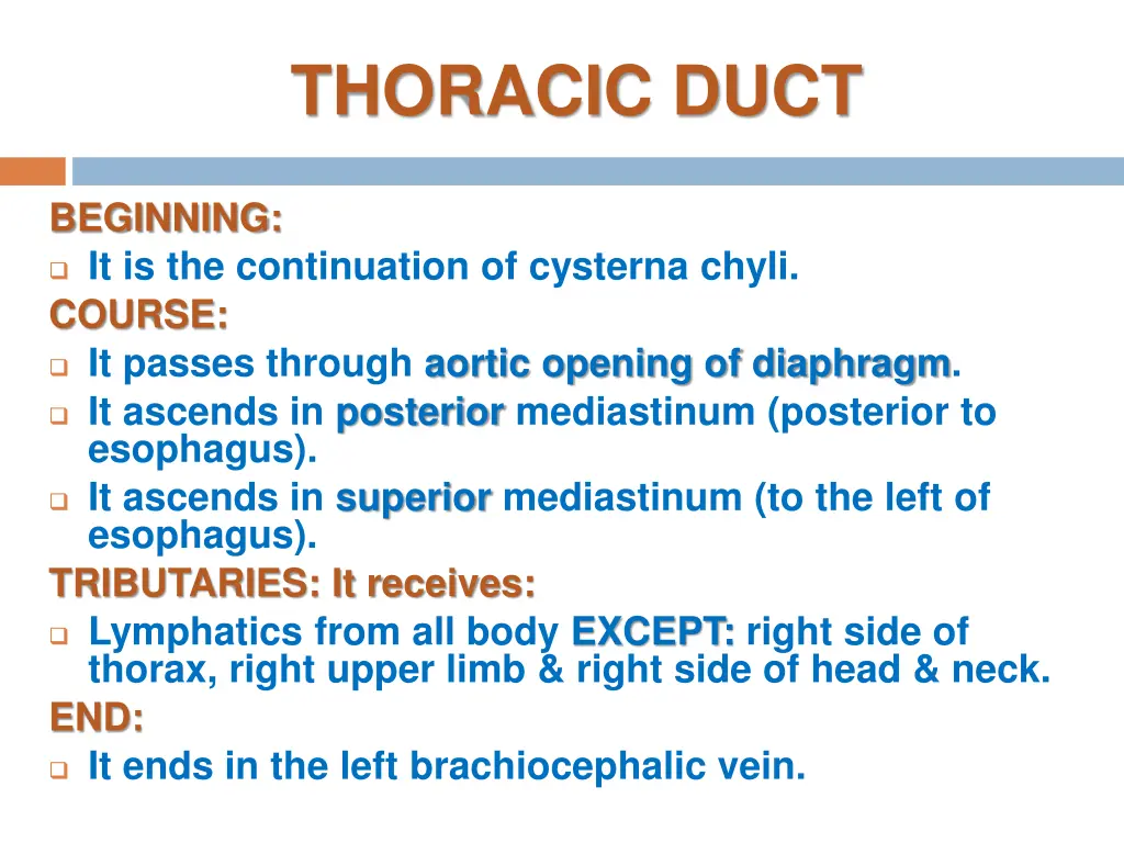 thoracic duct