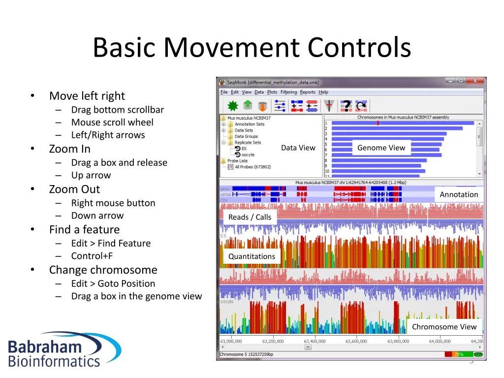 basic movement controls