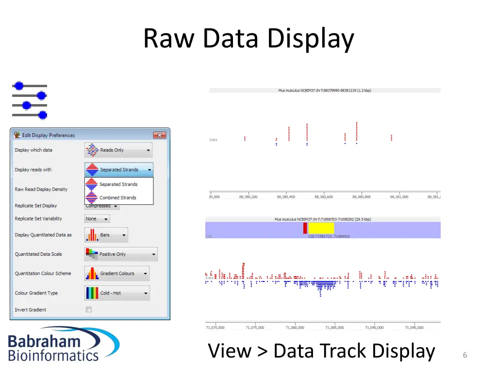 raw data display