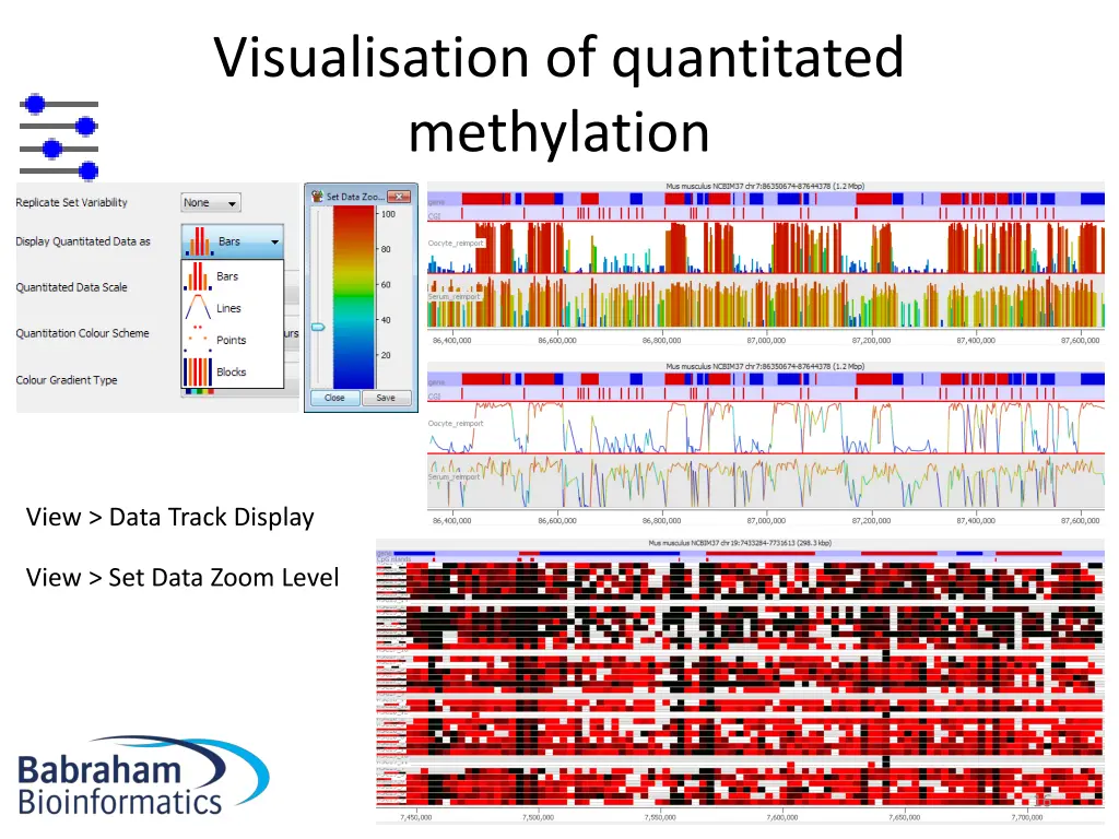 visualisation of quantitated methylation