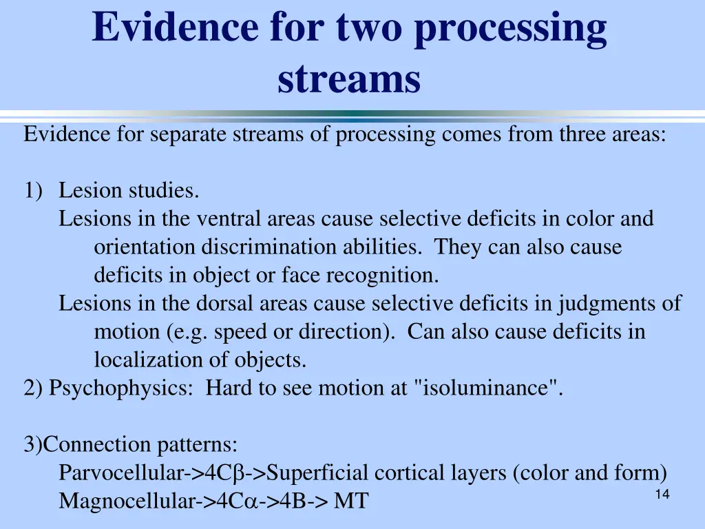 evidence for two processing streams