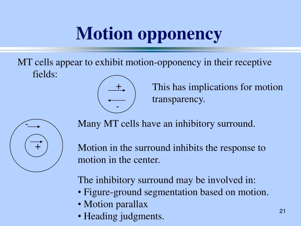 motion opponency 1