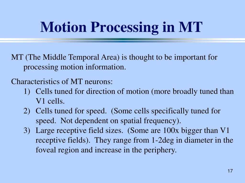 motion processing in mt