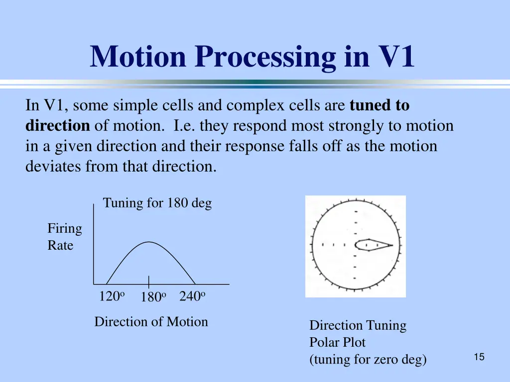 motion processing in v1