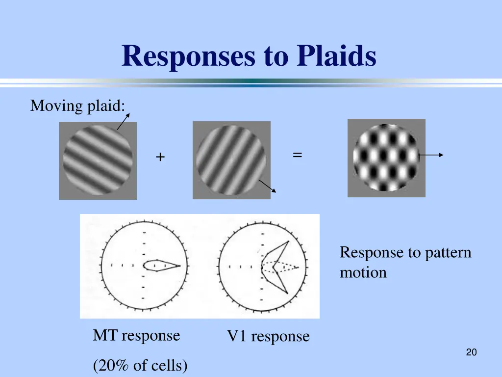 responses to plaids