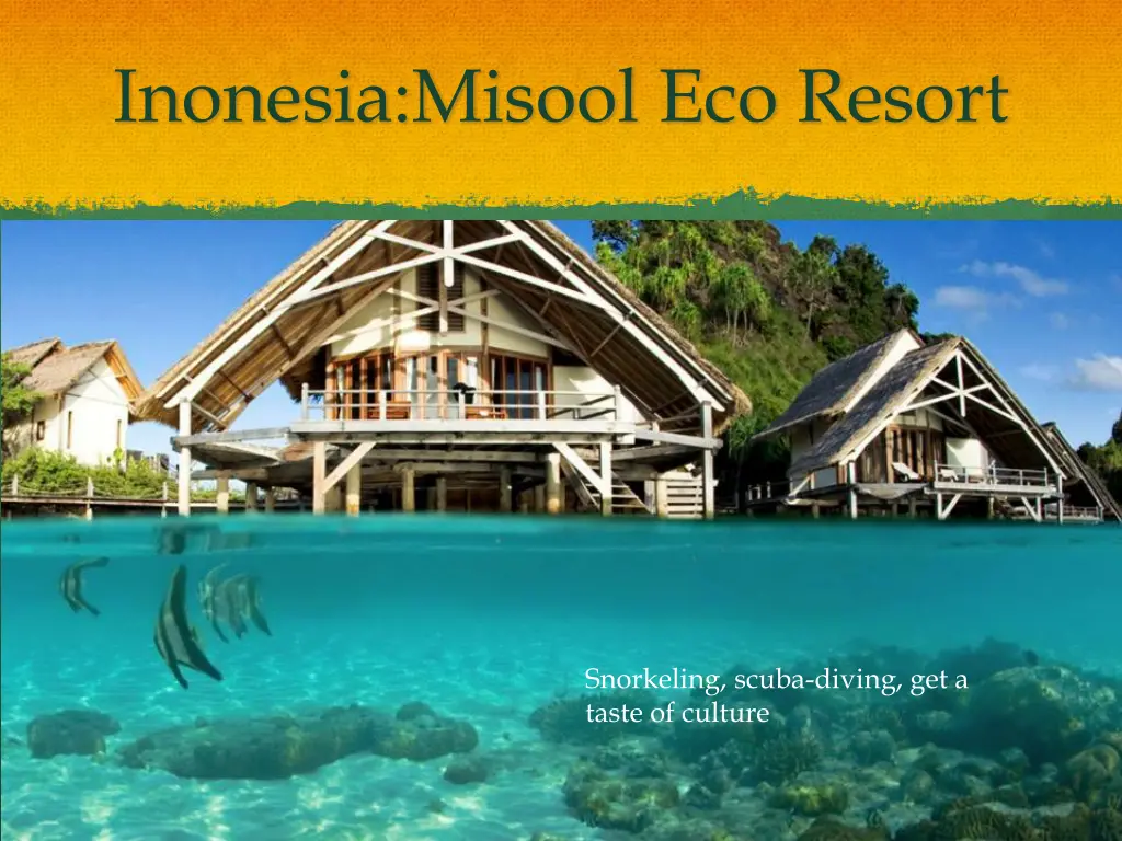 inonesia misool eco resort