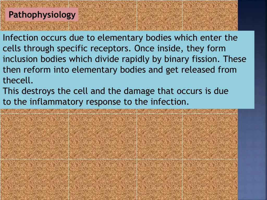pathophysiology
