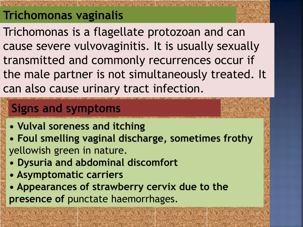 trichomonas vaginalis trichomonas is a flagellate