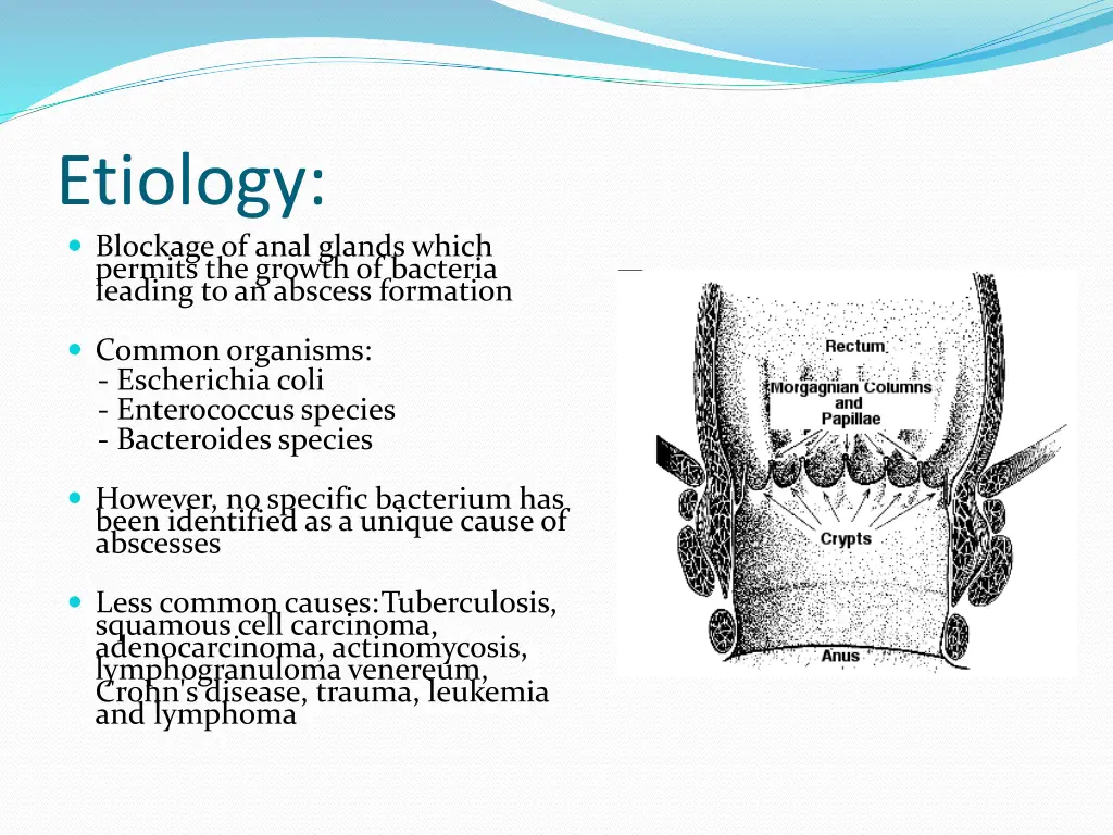 etiology blockage of anal glands which permits