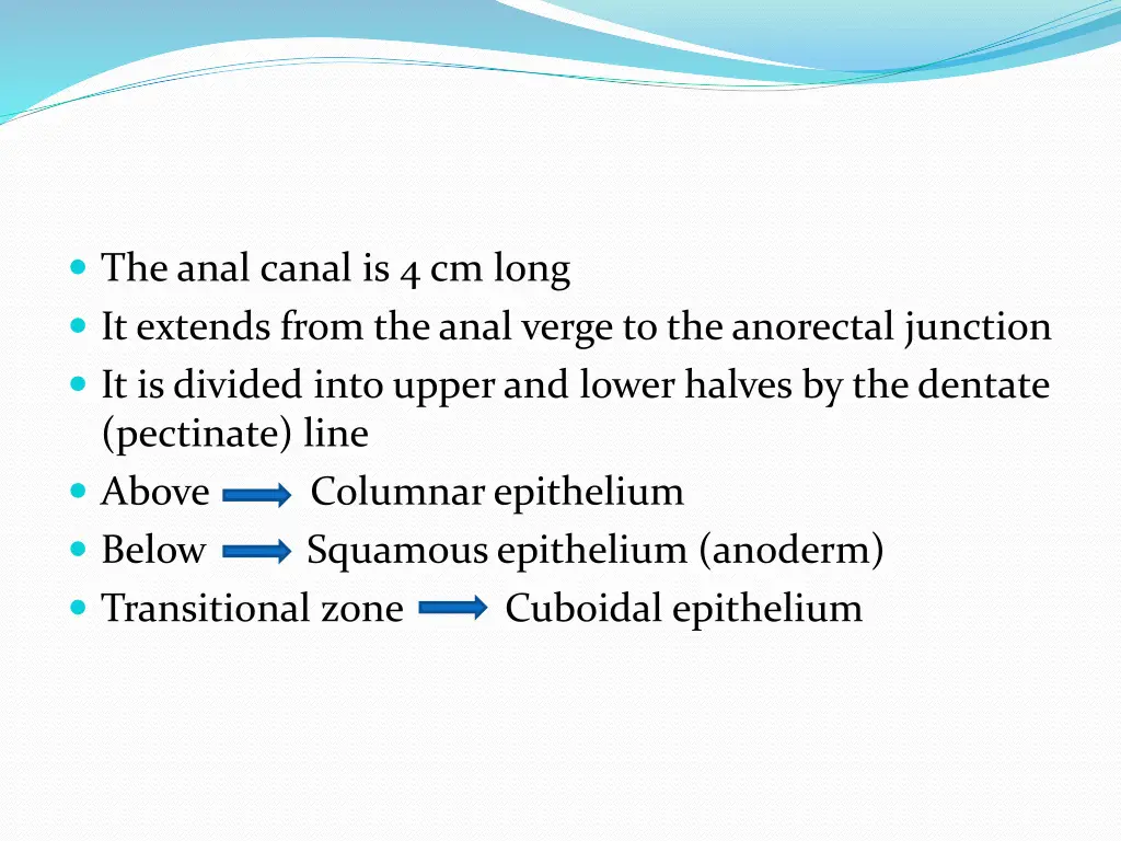 the anal canal is 4 cm long it extends from