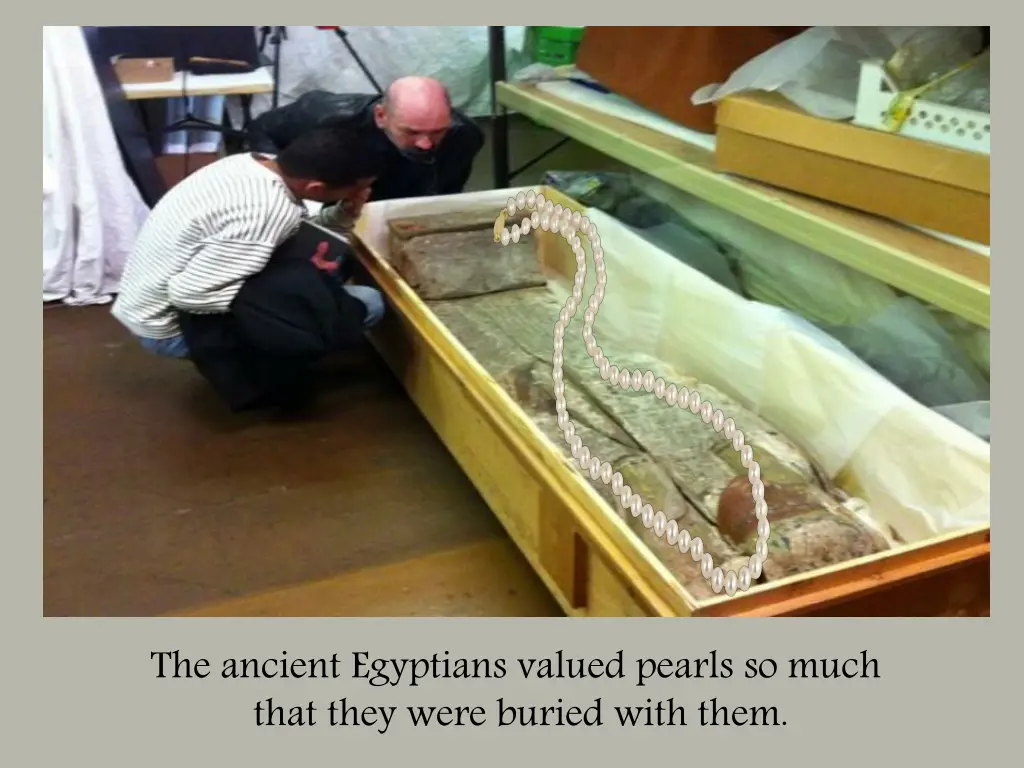 the ancient egyptians valued pearls so much that