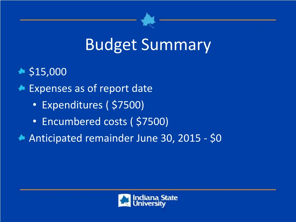 budget summary