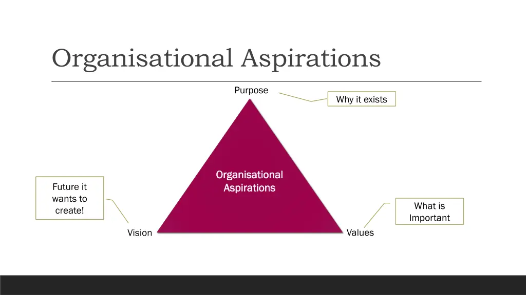 organisational aspirations